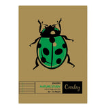 croxley a4 nature study book irish & margin 72-page